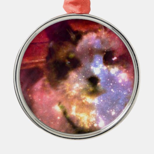 かんじきのオーロラのborealisの子猫 メタルオーナメント (正面)