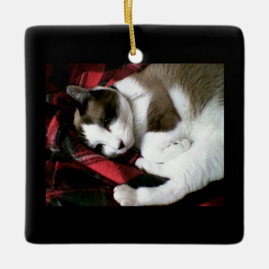 かんじきのタータンチェックの子猫 セラミックオーナメント (正面)