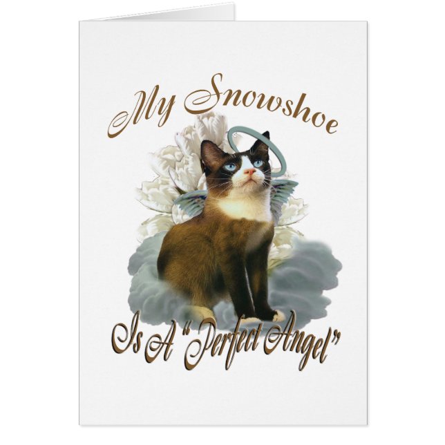 かんじきの完全な天使 (正面)