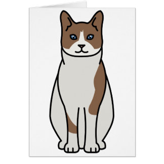 かんじき猫の漫画