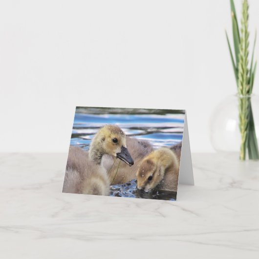 がちょうの子のメッセージカード カード (正面)