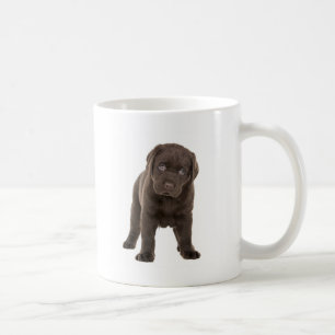 がっしりしたチョコレートラブラドールの子犬 コーヒーマグカップ
