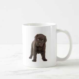 がっしりしたチョコレートラブラドールの子犬 コーヒーマグカップ