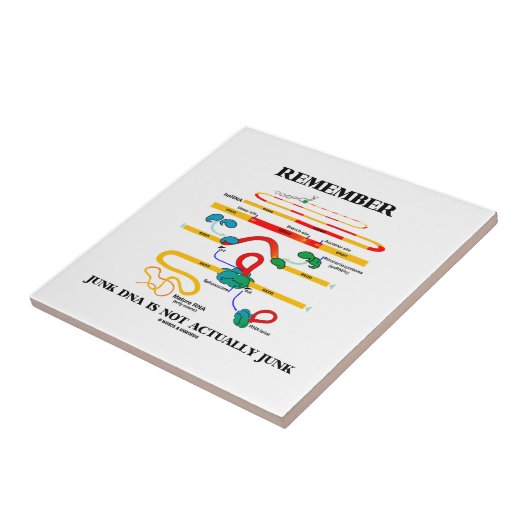 がらくたがDNA実際にがらくたではないことを覚えて下さい タイル (側面)