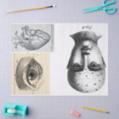 がらくたジャーナル解剖学の要素シート 薄葉紙 (クラフト)