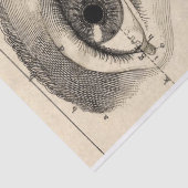 がらくたジャーナル解剖学の要素シート 薄葉紙 (詳細)