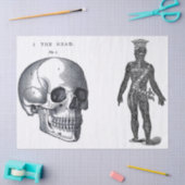 がらくたジャーナル解剖学の要素シート 薄葉紙 (クラフト)