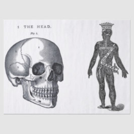 がらくたジャーナル解剖学の要素シート 薄葉紙