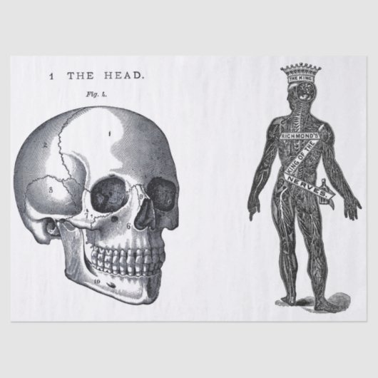 がらくたジャーナル解剖学の要素シート 薄葉紙 (正面)