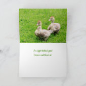 がんによる友情の促進  カード (内部)