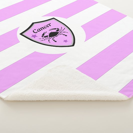 がんの記号       シェルパブランケット (3/4)