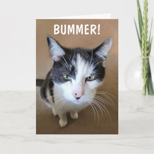 がんはががががんでもない カード (正面)