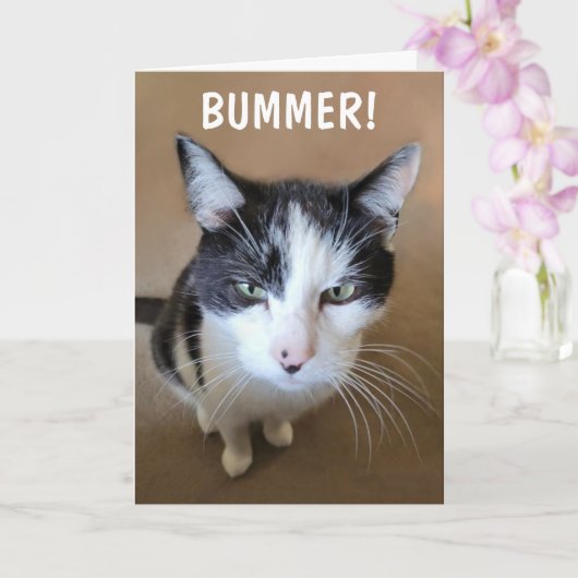 がんはががががんでもない カード (蘭)