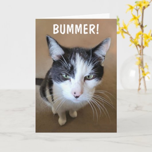 がんはががががんでもない カード (黄色い花)