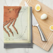 がんカニヴィンテージコンステレーション、ウラニア鏡 キッチンタオル (四つ折り)