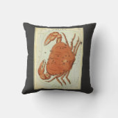 がんカニヴィンテージコンステレーション、ウラニア鏡 クッション (裏面)