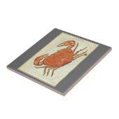 がんカニヴィンテージコンステレーション、ウラニア鏡 タイル (側面)