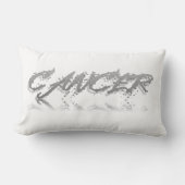 がん反射装飾用クッション ランバークッション (正面)
