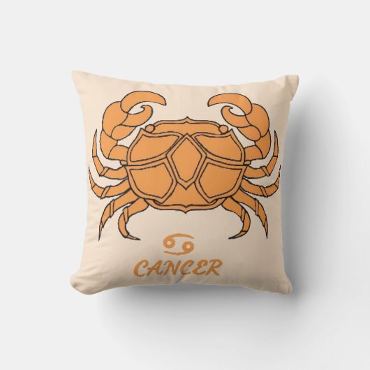 がん可逆的装飾用クッション クッション (正面)