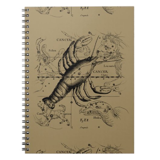 がん星座のヘベリアス1690熱烈 ノートブック (正面)
