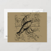 がん星座のヘベリアス1690熱烈 ポストカード (正面/裏面)