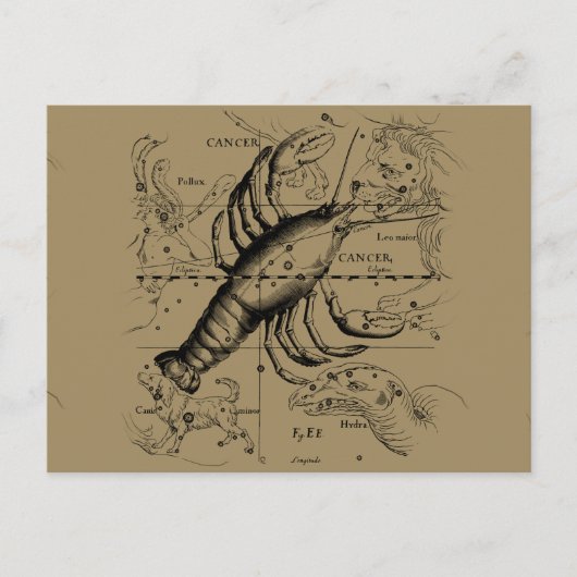 がん星座のヘベリアス1690熱烈 ポストカード (正面)