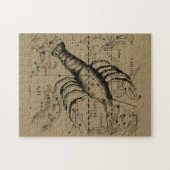 がん星座ヘベリアス1690年6月21日–7月22日 ジグソーパズル (横)