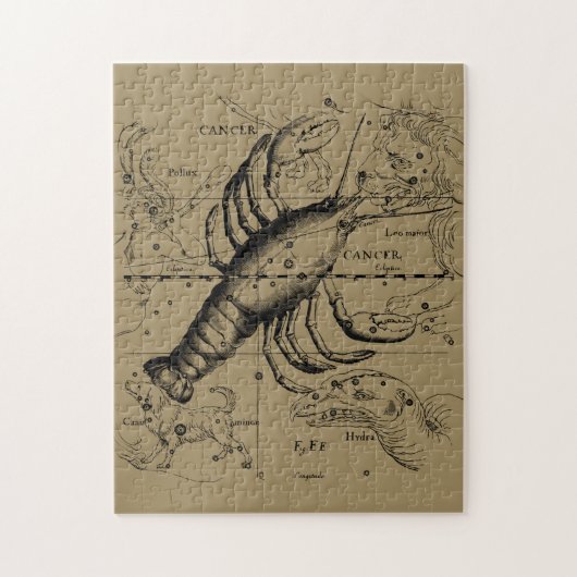 がん星座ヘベリアス1690年6月21日–7月22日 ジグソーパズル (縦)