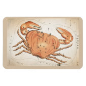 がん星座 マグネット (横)