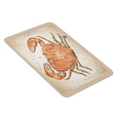 がん星座 マグネット (右側)