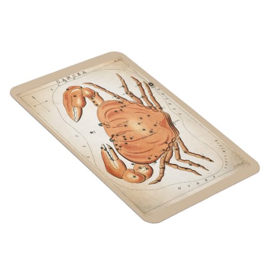 がん星座 マグネット (右側)