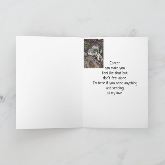 がん治療は、岩と硬い場所の間で感じられる カード (内部)