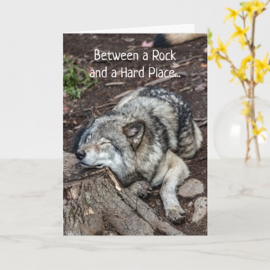 がん治療は、岩と硬い場所の間で感じられる カード (黄色い花)