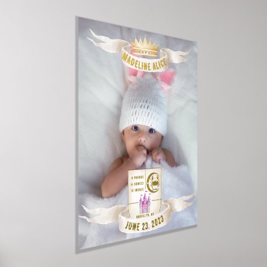 がん生まれたばかりのベビー名フォト統計金ゴールドシルバー 箔ポスター (レイダウン)