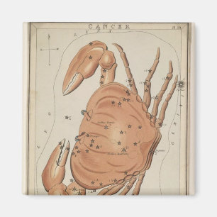 がん磁石 マグネット