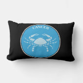 がん腰枕 ランバークッション (正面)