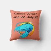 がん装飾用クッション クッション (裏面)