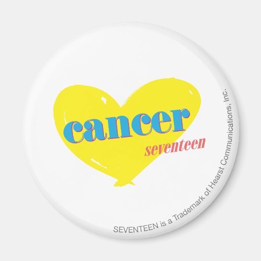 がん3 マグネット (正面)