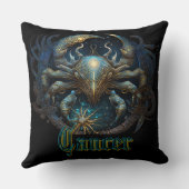 がん クッション (裏面)