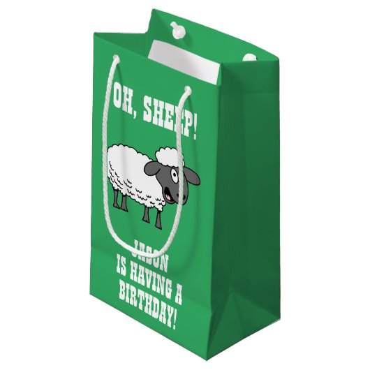 が誕生日を持っている スモールペーパーバッグ (正面アングル)