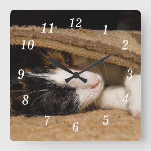 が遊敷壁の時計の下 スクエア壁時計 (正面)