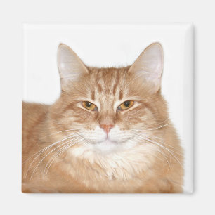 きざな微笑猫 マグネット
