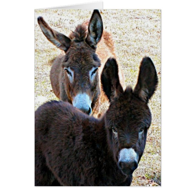 きちんとした及びママ (正面)