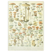 きのこのクリップボード クリップボード (裏面)