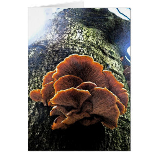 きのこのフレスコ画