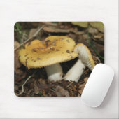 きのこのマウスのマット マウスパッド (マウス)