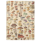 きのこのヴィンテージのイラストレーション クリップボード (裏面)