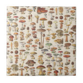 きのこのヴィンテージのイラストレーション タイル (正面)