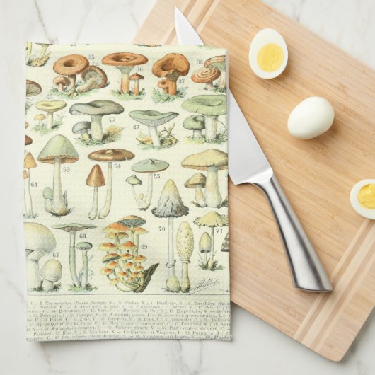 きのこの台所タオル キッチンタオル (四つ折り)