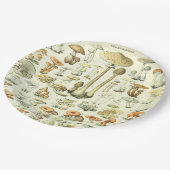 きのこの紙皿 ペーパープレート (アングル)